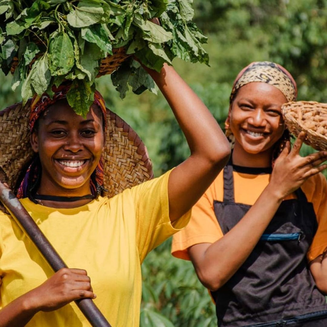 La Reforma Agraria del “Gobierno del Cambio”: Un Salto Histórico en la Titulación de Tierras Étnicas y sus Contrastes con Administraciones Anteriores