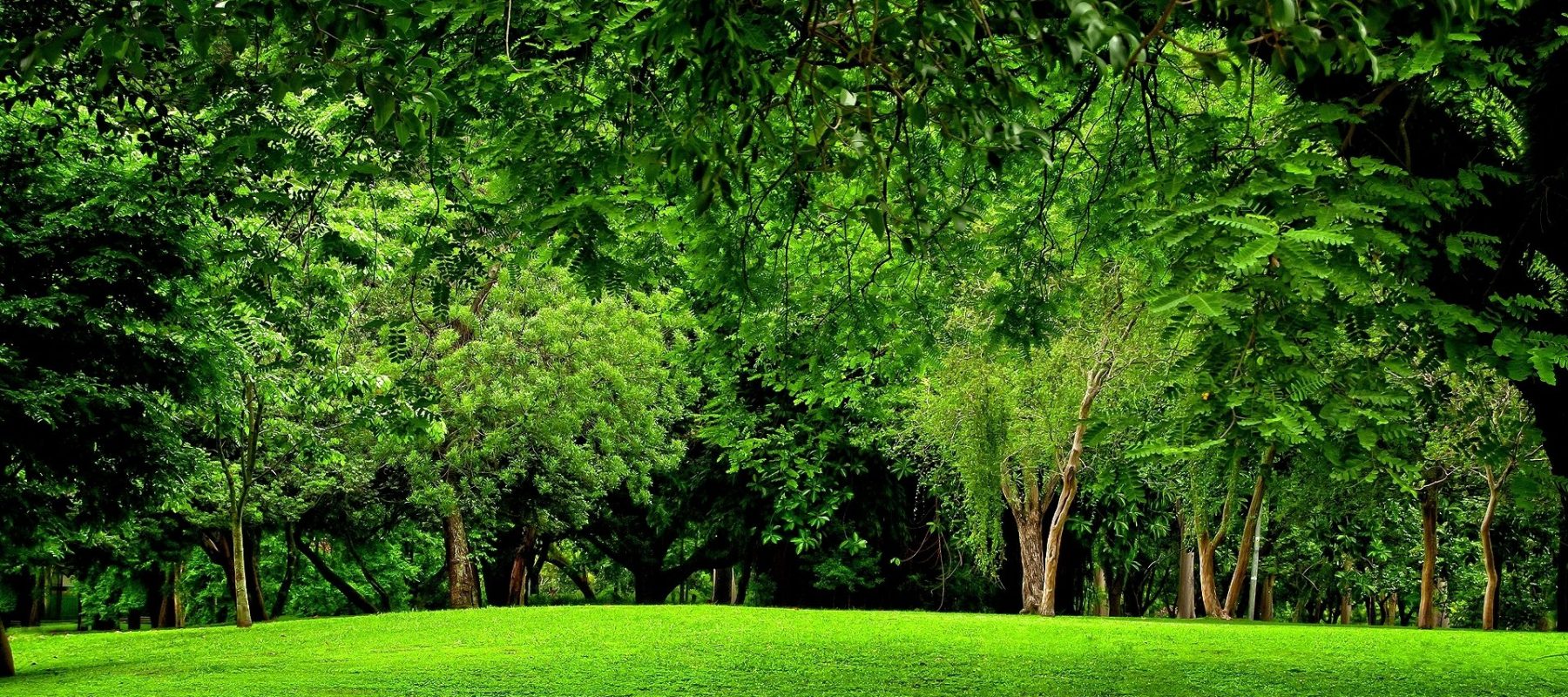 Ambiente-e-Sviluppo-Sostenibile-1