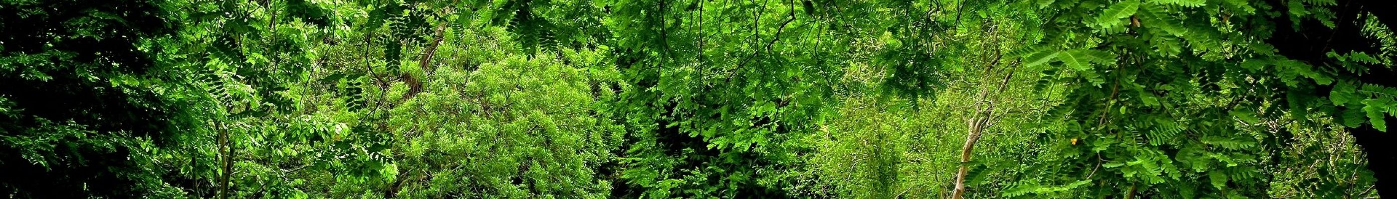 Ambiente-e-Sviluppo-Sostenibile-1